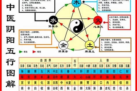 怎么看自己什么命